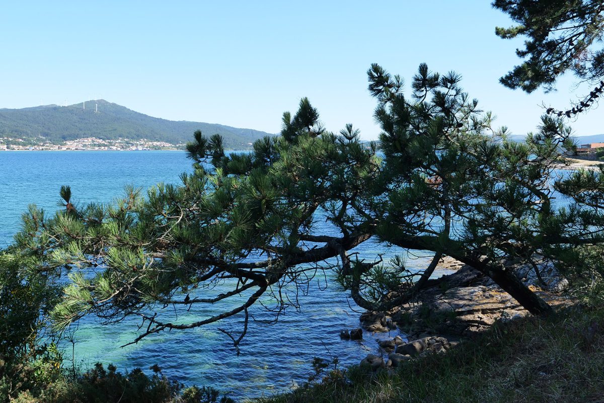 senda con monte tremuzo - Amaraxe